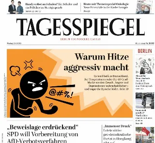 Der Tagesspiegel (Germania)