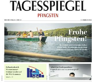 Der Tagesspiegel (Germania)