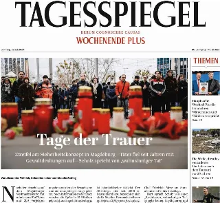 Der Tagesspiegel (Germania)