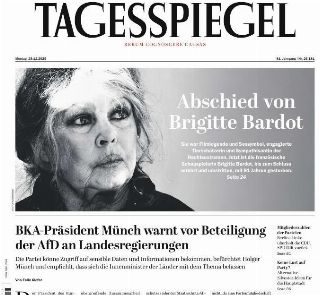 Der Tagesspiegel (Germania)
