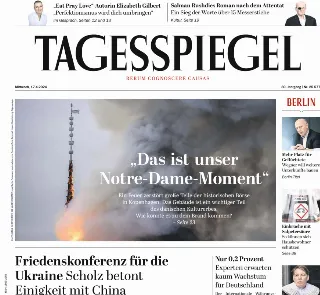 Der Tagesspiegel (Germania)