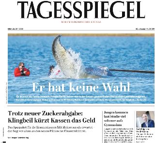 Der Tagesspiegel (Germania)