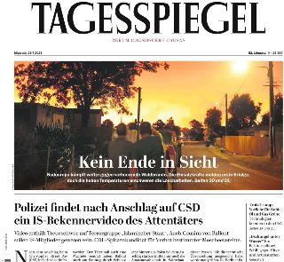 Der Tagesspiegel (Germania)