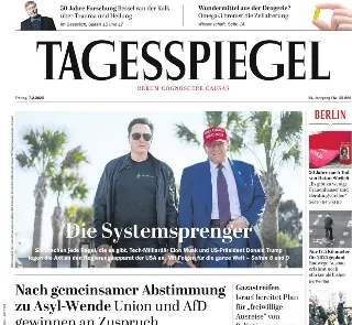 Der Tagesspiegel (Germania)