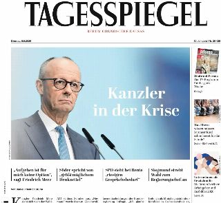 Der Tagesspiegel (Germania)