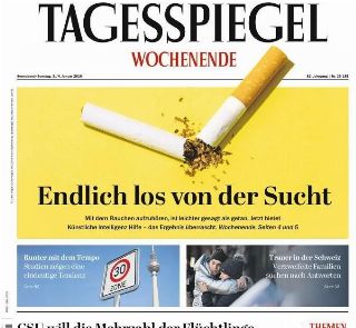 Der Tagesspiegel (Germania)