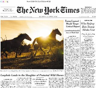 The New York Times (USA)