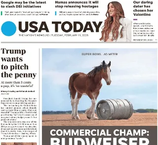 Usa Today (USA)