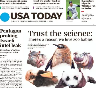 Usa Today (USA)