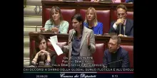Schlein su Flotilla: "Meloni esca dalla megalomania, sono tre anni che fa la vittima"