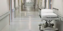 L’uomo non è una macchina biologica