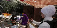 Da 35 atenei italiani 97 borse di studio per studenti palestinesi