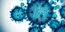 Virus emergenti: quali sfide ci riserva il futuro?