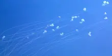 Lorenzo Mariani (Mbda): "Le difese antimissile europee non reggerebbero un mese"