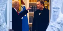 Fra Trump e Musk, scegliere Musk (e senza pistola alla tempia)