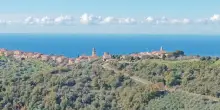Cilento, dove gli ulivi si affacciano sul mare