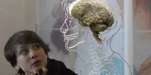 Io sono il mio cervello. Ciò che pensiamo cambia chi siamo, e viceversa