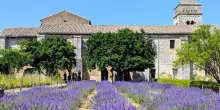 In Provenza sulle orme dei pittori