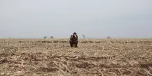 Intercepted. “Ciao mamma, uccidiamo la gente, ti ho preso regali”