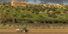 Al Parco archeologico della Valle dei Templi: olio, vino, mandorle e miele nutrono la cultura di Agrigento