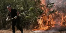 Piromani ed ecomafiosi: sono loro che danno fuoco all'Italia