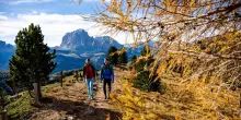 Colori e sapori d’autunno in Val Gardena fra Dolomiti infuocate, ricette ladine e il roseto più alto d’Europa