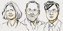 Il Nobel per la Medicina a Brunkow, Ramsdell e Sakaguchi per gli studi sul sistema immunitario