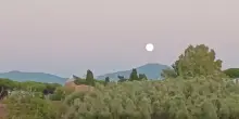 Appia Antica, una passeggiata tra vigneti e meraviglia