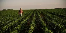 "No alle armi con i soldi degli agricoltori". Il centrodestra approva una mozione contro Bruxelles, Coldiretti applaude