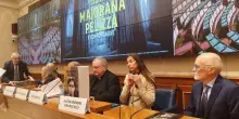 Mandate le ambulanze in Senato: "Meloni ci aiuti a trasformare il polistirolo in oro"