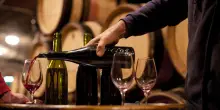 Il citrico e l’architetto. Dialogo sul destino del vino italiano