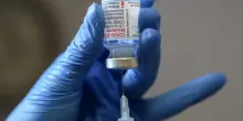 Effetti non avversi. I vaccini a mRNA contro Covid allungano la vita ai pazienti oncologici