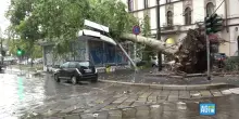 Nubifragio a Milano, albero cade su edicola in piazza Baiamonti