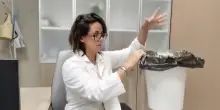 A Stia dottoressa e infermiera buttano nel cestino farmaci israeliani. La Asl avvia accertamenti