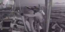 Flotilla, le immagini dell'intervento dei militari israeliani sulla barca Oxygono