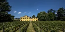 Vino, “Mosnel Franciacorta Brut”: nella 44esima cuvée anche l’Erbamat