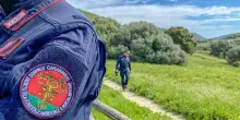 In nuovo concorso allievi carabinieri anche specializzazione Forestale