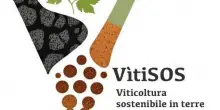 Vitigni resistenti e sostenibili: al via progetto VitiSos in 4 Regioni