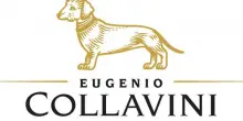 Vino, la Cantina Collavini crea il profumo “Ribolla per Cani”