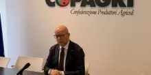 Copagri: su agricoltura tempesta perfetta, fare fronte comune
