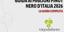 Online la Guida 2026 ai migliori Pinot Nero d’Italia di Vinodabere.it