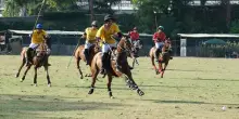 Campionato Italiano Polo U.S. Polo Assn., da venerdì show a Roma