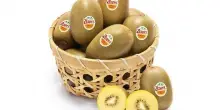 Zespri stima +22,3% volumi kiwi Sungold in Italia, Francia, Grecia