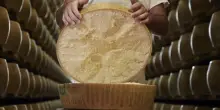 Torna 4-5 ottobre Caseifici aperti a scoperta Parmigiano Reggiano