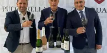 Vino, Pucciarella e Trequanda si rilanciano con distribuzione nazionale