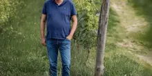 Vino, Michele Chiarlo: 2021 annata da ricordare, rinuncio ai cru 2024