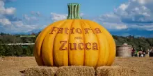 Fattoria della Zucca, nei week-end fino al 2 novembre nel Parco di Veio