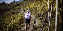 Valtellina wine trail, Rigamonti rinnova il sodalizio con il territorio