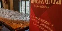 Il 3 novembre a Firenze debutta “mareMMMa, la Natura del vino”