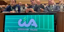 Manovra, Cia: priorità sono emergenza vino, consumi ed export